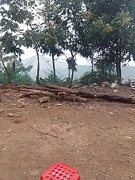 Snapshot of Menlike69 chatting on January 2026 01:43:02 AM Menlike69 online show from January 2026 01:43:02 AM