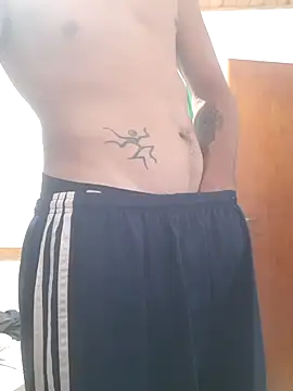 Rokan8181 online show from February 2026 12:04:01 AM