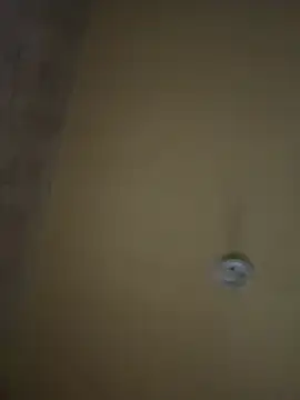 amorasecy online show from April 2026 11:13:01 AM