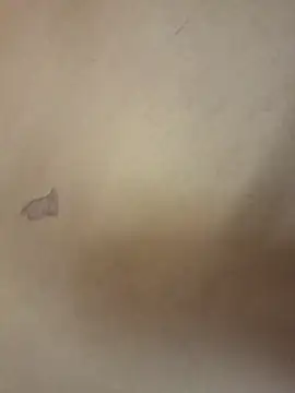 yourburget online show from February 2026 02:24:01 PM