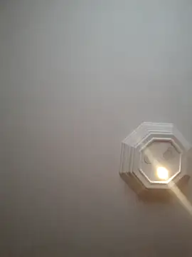 tutku01show online show from April 2026 02:21:01 PM