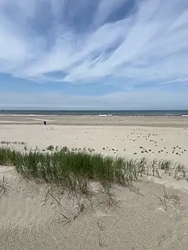 friemeldepiemel online show from June 2026 12:18:02 PM