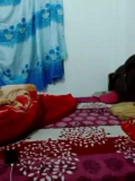 congchua977 online show from February 2026 11:47:02 AM