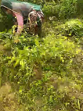 hornycouple20000 online show from January 2026 05:43:02 AM