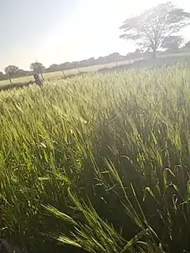 hornycouple20000 online show from January 2026 11:05:01 AM