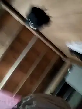 Snapshot of Hiniyk2 chatting on March 2026 01:40:02 PM Hiniyk2 online show from March 2026 01:40:02 PM