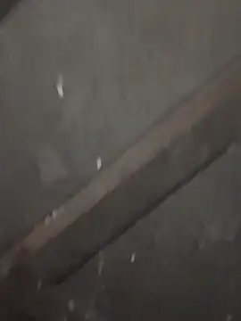 Snapshot of daksh__8_inche chatting on February 2026 10:04:02 PM daksh 8 inche online show from February 2026 10:04:02 PM