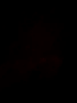 Snapshot of Yassine_1985 chatting on July 2026 11:56:02 AM Yassine 1985 online show from July 2026 11:56:02 AM
