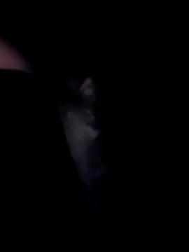 SweetTastes online show from February 2026 12:39:02 PM