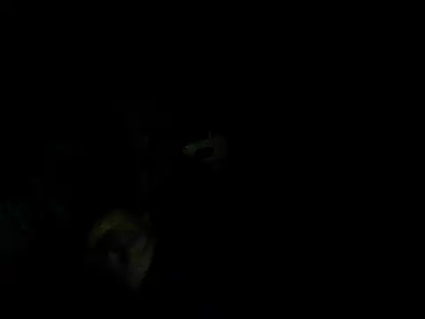 woxihuanzheli123 online show from April 2026 02:04:01 PM