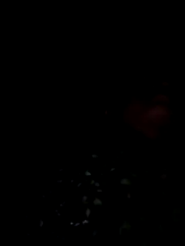 lodhi8080 online show from March 2026 07:07:01 PM