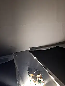 Snapshot of RealisedBooking chatting on February 2026 12:04:02 PM RealisedBooking online show from February 2026 12:04:02 PM