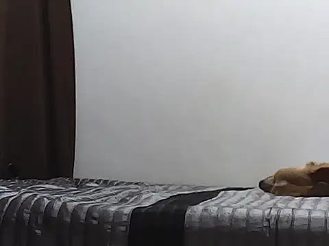 Ellatin15 online show from February 2026 12:49:01 PM