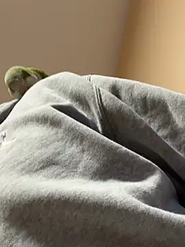 Andres56ojh online show from February 2026 11:01:01 PM