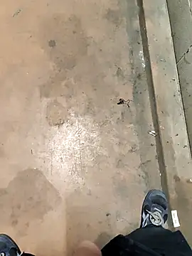 TAMI61 online show from February 2026 07:53:01 PM