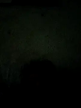 paladito01 online show from March 2026 04:38:02 AM