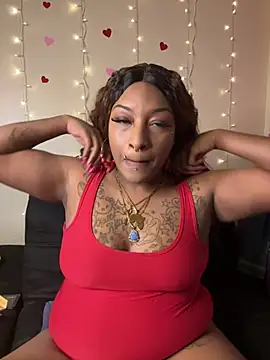 Egyptian reign online show from February 2026 03:13:01 AM