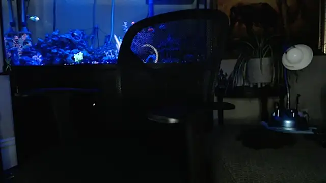 EspanolVato online show from March 2026 09:12:02 AM