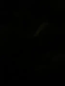 Herr Snusk online show from July 2026 12:12:01 AM