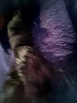 Queen chayna online show from January 2026 10:47:01 PM