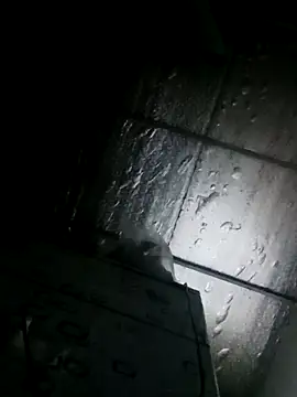 Sana-vn online show from March 2026 11:43:01 PM