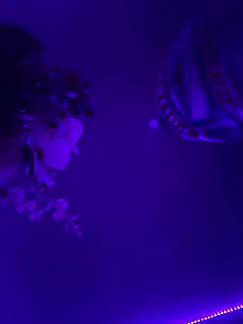 inconito-sex online show from January 2026 06:37:02 AM