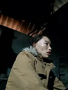 Nllpvp online show from January 2026 02:47:01 AM