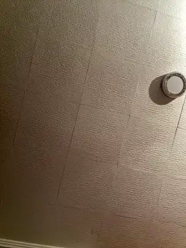 Snapshot of Evelin199 chatting on February 2026 08:45:01 PM Evelin199 online show from February 2026 08:45:01 PM