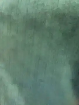 Nooran noona online show from January 2026 09:17:02 PM