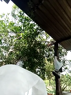 -Nicole-e online show from February 2026 07:12:01 AM