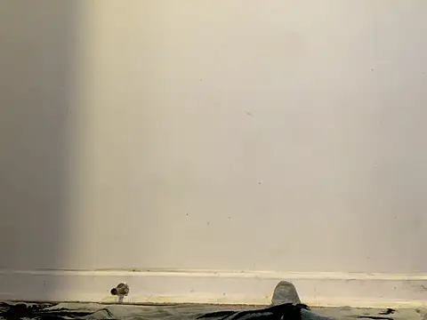 AnnoyedAnnual online show from January 2026 12:15:02 AM