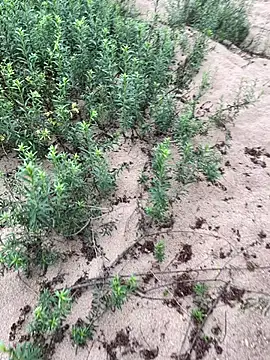 Annalua73 online show from January 2026 06:44:02 PM