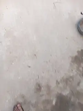 sarmila sexy1 online show from January 2026 11:34:02 AM