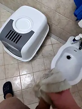 Manu53y online show from February 2026 04:54:01 PM