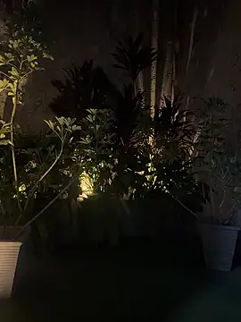 EmmaJhoons online show from January 2026 05:44:01 AM