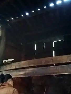 miray- online show from March 2026 10:33:02 AM