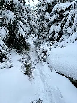 Marina und Jayden online show from February 2026 02:24:02 PM