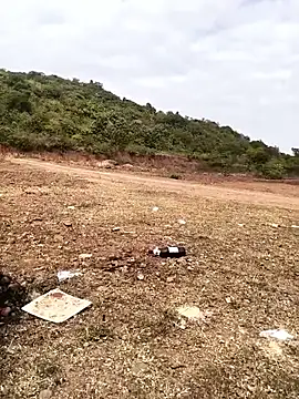 telugu026 online show from January 2026 04:29:01 AM