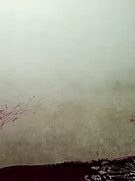 Snapshot of Sexycoupel556 chatting on March 2026 10:31:02 AM Sexycoupel556 online show from March 2026 10:31:02 AM