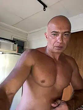 Snapshot of dogfrota chatting on February 2026 08:30:01 PM dogfrota online show from February 2026 08:30:01 PM