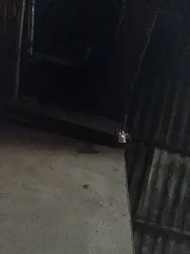 sun-shii online show from April 2026 10:45:02 PM