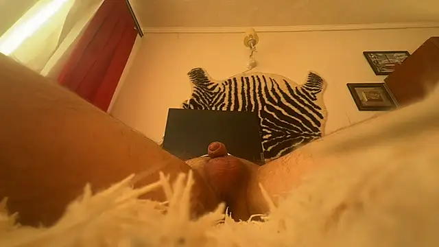 Strigonok online show from June 2026 03:30:01 AM