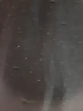 Snapshot of gessydiy chatting on February 2026 04:16:02 PM gessydiy online show from February 2026 04:16:02 PM