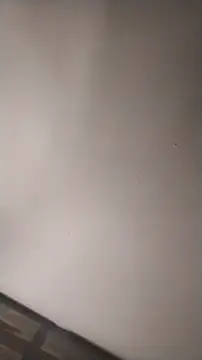 sterng6969 online show from March 2026 05:24:01 AM