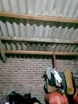 Diana-02 online show from February 2026 11:55:01 AM