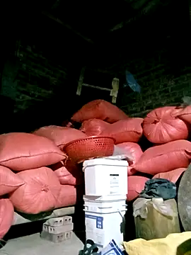 Diana-02 online show from March 2026 12:16:01 PM