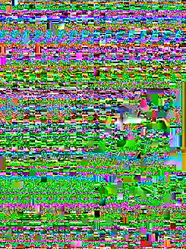 Snapshot of Wicy23 chatting on May 2026 03:48:02 AM Wicy23 online show from May 2026 03:48:02 AM