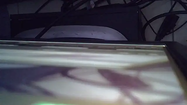 tekashi667 online show from July 2026 04:16:01 AM