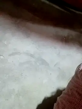 Gummiesu online show from February 2026 05:53:02 PM