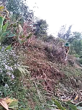 lia-coy online show from April 2026 12:50:02 AM